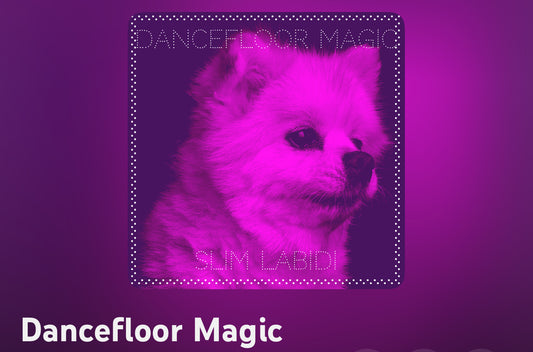 Dancefloor Magic