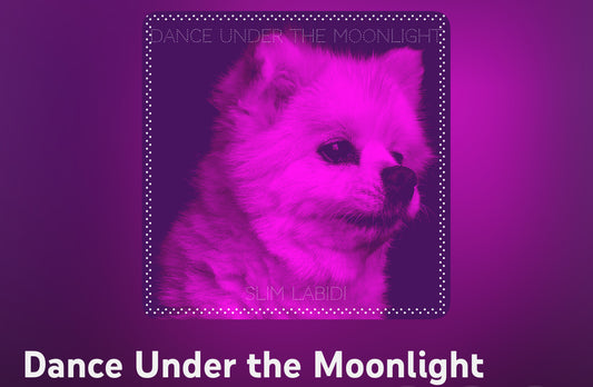 Dance Under the Moonlight