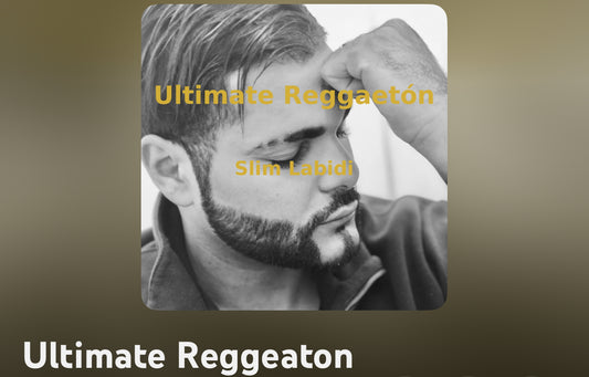 Album 10 Titres : Ultimate Reggeaton